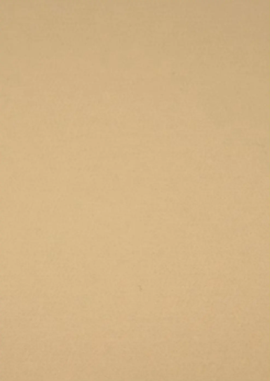 Filz - Platte 37,5 x 50 cm 3mm